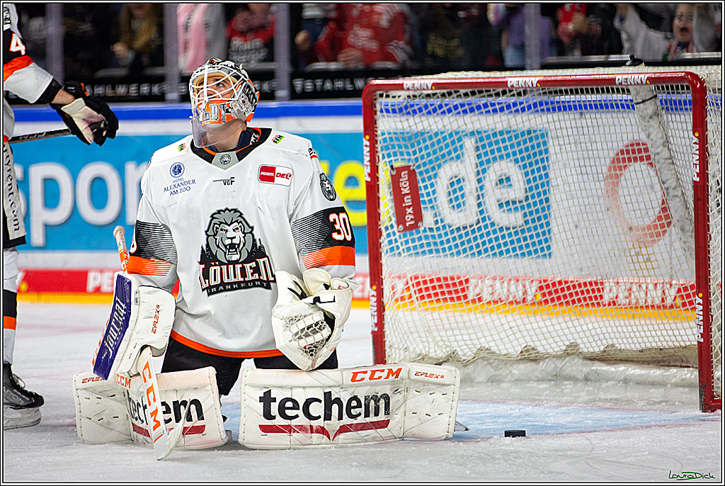 PENNY DEL; Koelner Haie- Loewen Frankfurt; Koeln, 01.12.2022